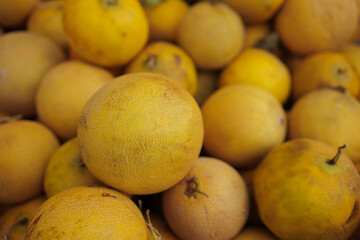 Melons of various sizes and shades displayed at a local market in the afternoon light