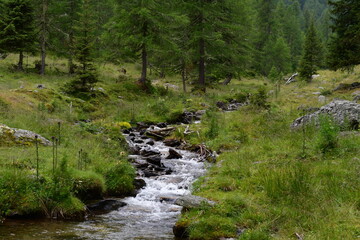 Ein Bach im Ultental in Südtirol 
