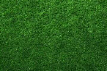 Green grass texture background green lush green grass.