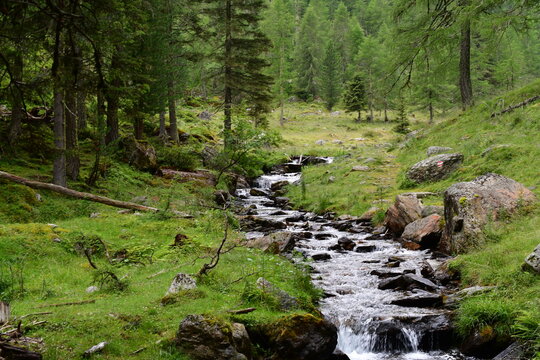 Ein kleiner Fluss im Ultental in S&uuml;dtirol 