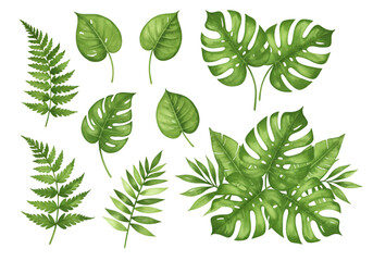 Watercolor Illustration Of Green Tropical Monstera And Fern Leaves Set