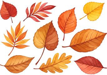 Obraz premium Watercolor Illustration of Various Autumn Leaves with Transparent Background