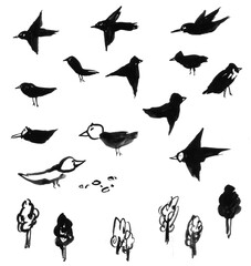 새와 나무를 손그림으로 그린 일러스트