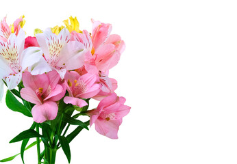 Lush bouquet of blooming Alstroemeria in pink and white isolated o  on transparent background Great for floral designs, celebration cards, or wedding themes.

