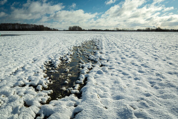 A frozen puddle in a snow-covered field
