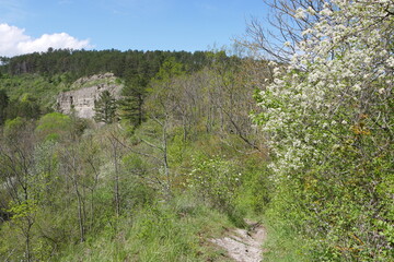 Wanderweg und Jungfernsprung in Arnstadt im Jonastal