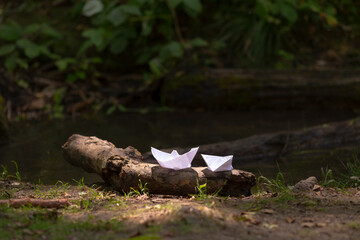 Two small paper boats are peacefully resting on a sturdy log in the serene woods, surrounded by the beauty of nature