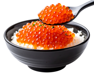 Close-Up Side Angle of Ikura Don with Spoonful of Roe Lifted, Realistic Detail, Transparent Background