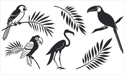 Parrots toucan flamingo tropical foliage vector