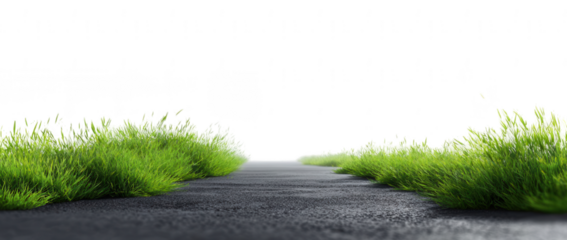 grass on an asphalt road, isolated on a white background, png, transparent