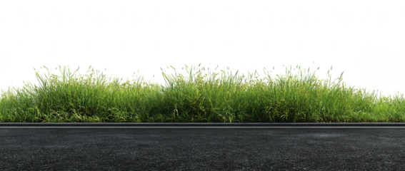 grass on an asphalt road, isolated on a white background, png, transparent