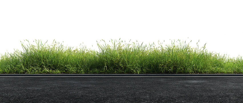 grass on an asphalt road, isolated on a white background, png, transparent