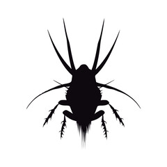 Obraz premium Cute cartoon cockroach Black and white vector illustration for coloring book.