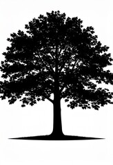 Silhouette of a large deciduous tree with full foliage isolated on white background