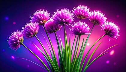 Obraz premium Vibrant Purple Chive Blossoms - Vibrant Colors