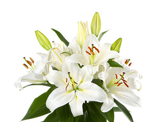 Bouquet of white lilies with green leaves isolated on transparent background © Stromlab-2