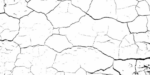 high contrast image featuring a white surface  with black cracks,  creating an abstract and distressed background look	 with textured regions concentrated towards the bottom.