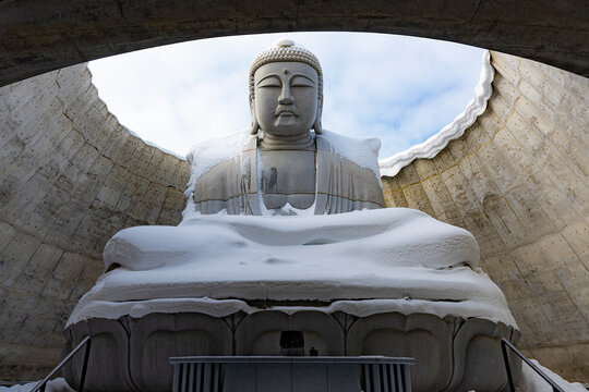Japan - February 2, 2026 : Great White Buddha Statue covered with snow in winter at Hill of Buddha, Sapporo