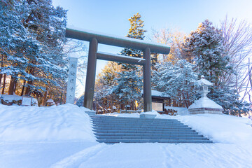 Japan - February 4, 2025 : Scenic view of Great Torii Gate in front of Hokkaido Shrine in winter, one of most popular tourist destination in Sapporo, Hokkaido