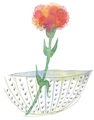 카네이션을 그린 일러스트