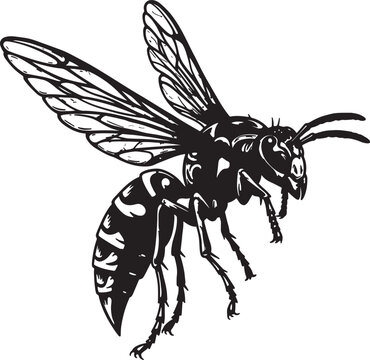 black and white wasp flying clip art preview