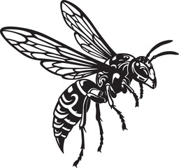 Obraz premium Detailed black and white illustration of a flying wasp with intricate wing and body patterns
