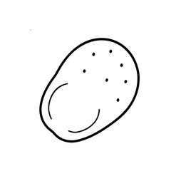 Vector Illustration of Fresh Potato with Detailed Texture on White Background
