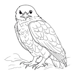 Fototapeta premium Cute cartoon eagle Black and white vector illustration for coloring book.
