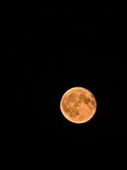 Fototapeta premium Bright Moon with Surface Details at Night