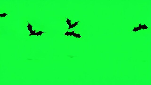 Silhouette Bats on Green Screen: A chilling image of bats, silhouetted against a vivid green screen, offering versatility for creative compositing. Capture your Halloween and Horror designs.