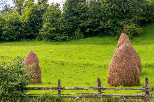 rural landscape in mountains. haystack on the field near the forest. summer day with cloudy sky