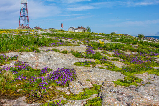 Granite islands-rocks (glaciated landscape) in central part of Gulf of Finland, Baltic. Old beacon and abandoned lighthouse keeper's house of Nerva Island. Marine violet curtains