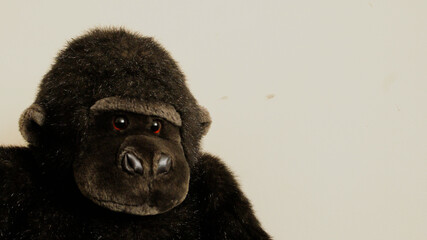 A cute, dark-furred gorilla plush toy with red eyes, looking directly at the viewer against a plain...