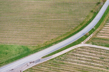 Top view of vineyards in Rheinhessen with agricultural paths