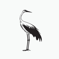 black crowned crane
