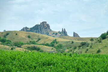 Crimean mountains, the main ridge on the north side at the end of spring. In the foreground are the...