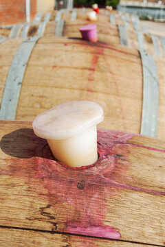 A row of wine barrels