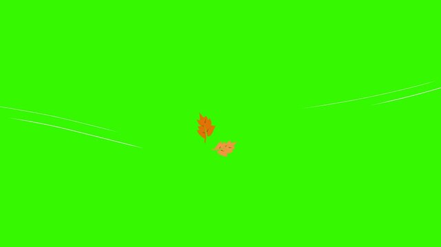 Autumn maple leaves falling isolated green. 4K footage video animation wind blow for season overlay - Powered by Adobe