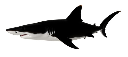 Fototapeta premium shark without a background