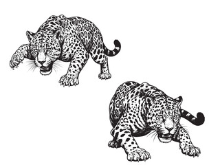 Engraved jaguar leaping forward with sharp claws and spotted fur in powerful pose