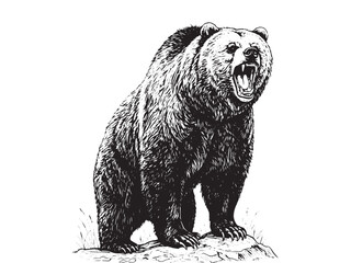 Engraved grizzly bear rearing on hind legs showing claws and teeth in strong bold style