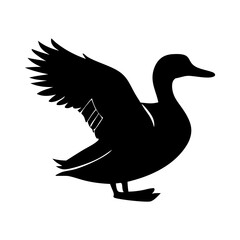 Fototapeta premium A Duck Silhouette Vector Illustration