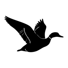 Obraz premium A Duck Silhouette Vector Illustration