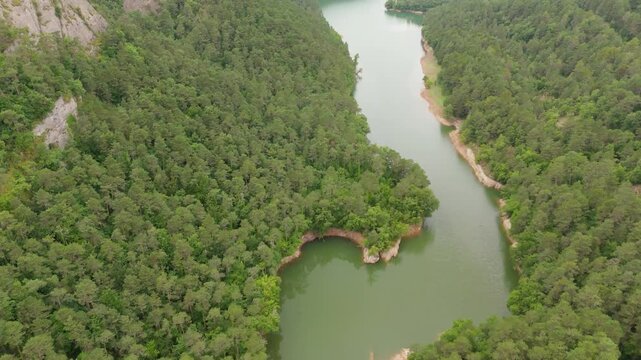 Vista a&eacute;rea de bosques de pino mediterr&aacute;neo en el embalse de La Baells, Catalu&ntilde;a, Espa&ntilde;a.