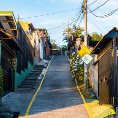 Tropical Hill Street with Flowers
