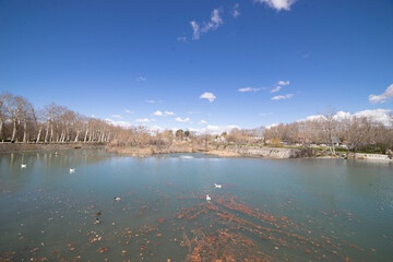 Tranquil view of the river in Aranjuez, Spain with clear blue sky and autumn leaves drifting on the...