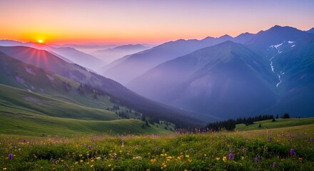 Naklejka premium Mountain sunrise with meadow flowers