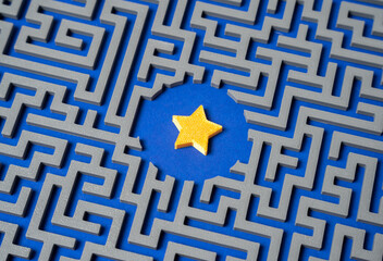 Star in the Labyrinth. In Search of Fame and Recognition. Work and Trials on the Path to Success....