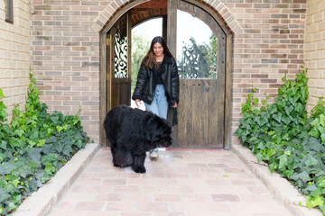 Young woman takes her newfoundland dog for a walk, exiting through a wooden arched doorway of a brick house