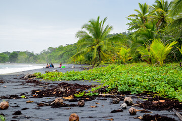 Black Volcanic Beach
